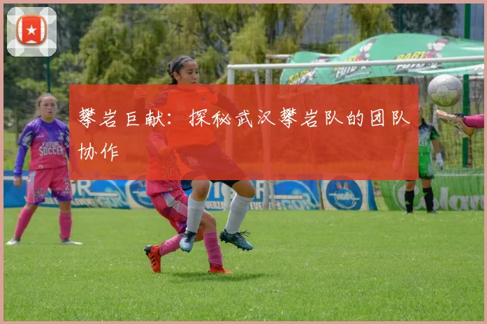 攀岩巨献：探秘武汉攀岩队的团队协作