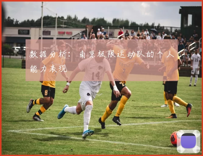 数据分析：南京极限运动队的个人能力表现