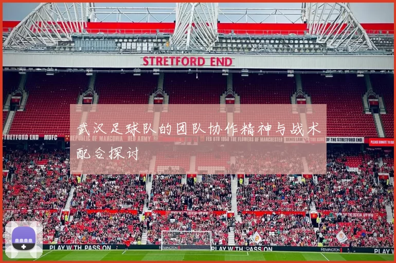 武汉足球队的团队协作精神与战术配合探讨