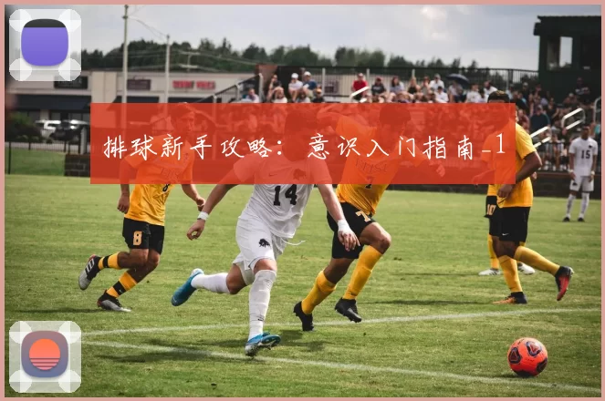 排球新手攻略：意识入门指南_1