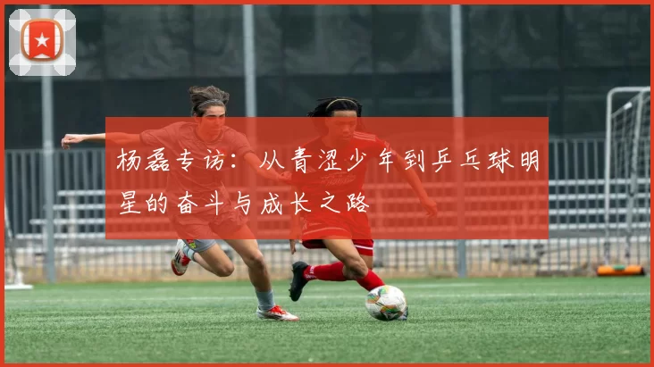 杨磊专访：从青涩少年到乒乓球明星的奋斗与成长之路