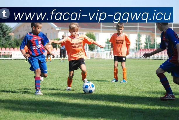 足球明星中韩双标现象探讨与分析引发的文化差异与舆论风波